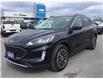 2021 Ford Escape PHEV SEL (Stk: S2687) in Cornwall - Image 1 of 30