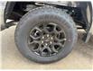 2025 Ford F-150 XLT (Stk: 25DFT022) in Drayton Valley - Image 15 of 15