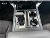 2025 Ford F-150 XLT (Stk: 25DFT022) in Drayton Valley - Image 13 of 15