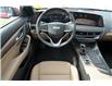 2025 Cadillac CT5 Premium Luxury (Stk: 19146) in Red Deer - Image 10 of 20