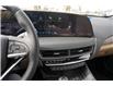 2025 Cadillac CT5 Premium Luxury (Stk: 19146) in Red Deer - Image 13 of 20