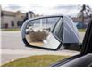2025 Cadillac CT4-V V-Series (Stk: 18678) in Red Deer - Image 19 of 19