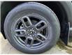 2025 Ford Bronco Sport Big Bend (Stk: 25094) in Melfort - Image 8 of 12