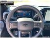 2025 Ford F-150 STX (Stk: 5F192883) in Brantford - Image 11 of 21