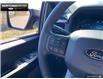 2025 Ford F-150 STX (Stk: 5F192883) in Brantford - Image 13 of 21