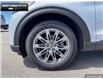 2025 Ford Explorer Active (Stk: 5EX1720) in Brantford - Image 6 of 22