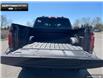 2025 Ford F-150 Tremor (Stk: 5F108761) in Brantford - Image 10 of 23