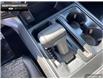 2025 Ford F-150 Tremor (Stk: 5F108761) in Brantford - Image 16 of 23