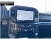 2025 Ford F-150 Tremor (Stk: 5F108761) in Brantford - Image 17 of 23