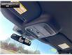 2025 Ford F-150 Tremor (Stk: 5F108761) in Brantford - Image 19 of 23
