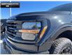 2025 Ford F-150 XLT (Stk: 5F180193) in Brantford - Image 7 of 23