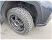 2022 Toyota RAV4 Trail (Stk: T069124A) in Cranbrook - Image 23 of 23