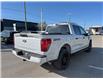 2025 Ford F-150 STX (Stk: VF1F00823) in Chatham - Image 4 of 19