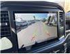 2025 Ford F-150 STX (Stk: VF1F00823) in Chatham - Image 18 of 19