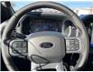 2025 Ford F-150 XLT (Stk: VF1F00818) in Chatham - Image 13 of 18