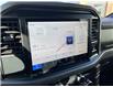 2025 Ford F-150 XLT (Stk: VF1F00818) in Chatham - Image 16 of 18