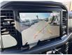 2025 Ford F-150 XLT (Stk: VF1F00818) in Chatham - Image 17 of 18