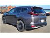 2020 Honda CR-V LX (Stk: TL2441) in Saint John - Image 4 of 12