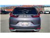 2020 Honda CR-V LX (Stk: TL2441) in Saint John - Image 5 of 12