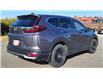 2020 Honda CR-V LX (Stk: TL2441) in Saint John - Image 6 of 12