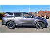 2020 Honda CR-V LX (Stk: TL2441) in Saint John - Image 7 of 12