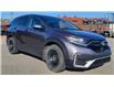 2020 Honda CR-V LX (Stk: TL2441) in Saint John - Image 9 of 12