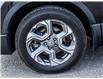 2019 Honda CR-V EX (Stk: B2216) in Ottawa - Image 22 of 28