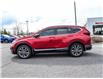 2022 Honda CR-V  (Stk: 6414A) in Ottawa - Image 5 of 5