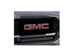 2025 GMC Sierra 1500 Elevation (Stk: 250308) in London - Image 20 of 24