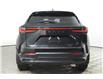 2025 Lexus NX 350h Base (Stk: 14109764) in Markham - Image 6 of 29