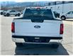 2024 Ford F-150 XLT (Stk: 57B1476) in Penticton - Image 6 of 20