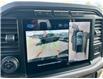2024 Ford F-150 XLT (Stk: 57B1476) in Penticton - Image 14 of 20
