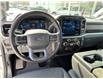 2024 Ford F-150 XLT (Stk: 57B1476) in Penticton - Image 15 of 20