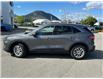 2021 Ford Escape SE (Stk: 57B1516) in Penticton - Image 5 of 19