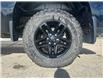2024 Chevrolet Silverado 1500 Custom Trail Boss (Stk: 4325-098A) in Edson - Image 21 of 21