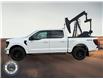 2025 Ford F-150 XLT (Stk: 25DFT045) in Drayton Valley - Image 3 of 15