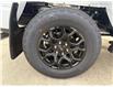2025 Ford F-150 XLT (Stk: 25DFT045) in Drayton Valley - Image 15 of 15