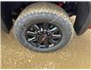 2025 GMC Sierra 3500HD AT4 (Stk: 25204) in Rimbey - Image 7 of 14