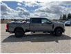 2025 Ford F-350 XLT (Stk: 5T6404) in Cardston - Image 6 of 13