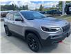 2019 Jeep Cherokee Trailhawk (Stk: C247077A) in Port Alberni - Image 7 of 14