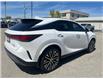2024 Lexus RX 350 Base (Stk: CP12418) in Chatham - Image 4 of 12