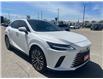 2024 Lexus RX 350 Base (Stk: CP12418) in Chatham - Image 3 of 12