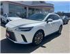 2024 Lexus RX 350 Base (Stk: CP12418) in Chatham - Image 1 of 12