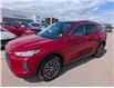 2023 Ford Escape PHEV (Stk: S-342A) in Calgary - Image 1 of 25