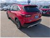 2023 Ford Escape PHEV (Stk: S-342A) in Calgary - Image 3 of 25