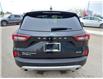2023 Ford Escape Platinum (Stk: 8136) in Moose Jaw - Image 7 of 23