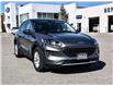 2022 Ford Escape SE (Stk: VF00293R) in Chatham - Image 7 of 30