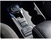 2022 Ford Escape SE (Stk: VF00293R) in Chatham - Image 23 of 30