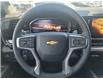2025 Chevrolet Silverado 1500 LTZ (Stk: 1200028) in Newmarket - Image 13 of 20