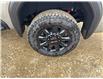 2025 GMC Sierra 3500HD AT4 (Stk: 25198) in Rimbey - Image 7 of 14